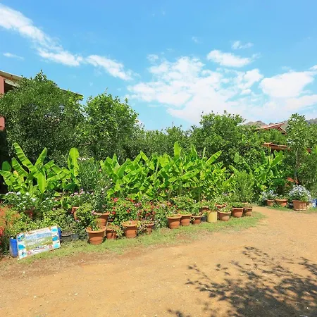 Rose Bungalow *