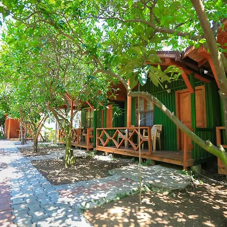 Homestay Rose Bungalow